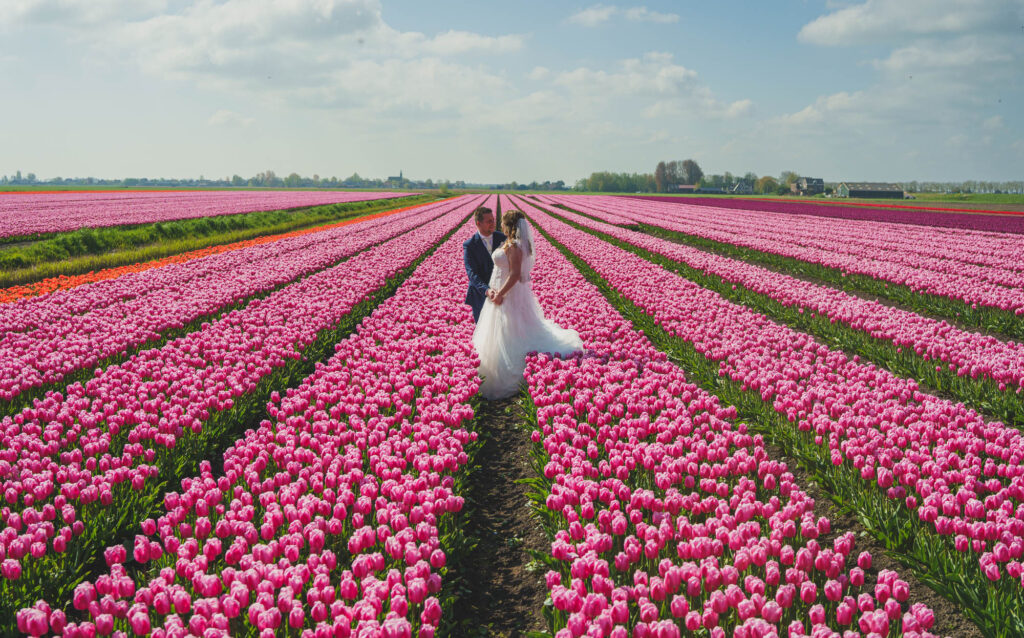 Trouwfoto's in de Hollandse Tulpenvelden - Angela de Baat Fotografie
